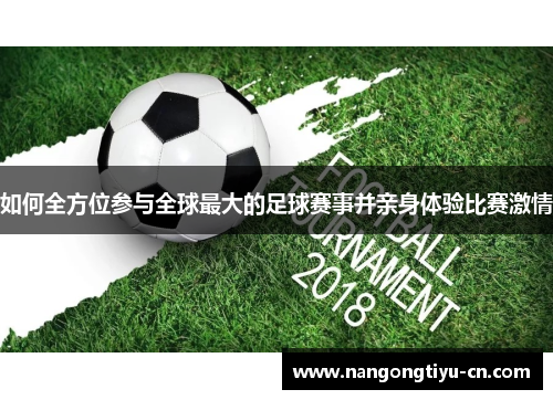 如何全方位参与全球最大的足球赛事并亲身体验比赛激情