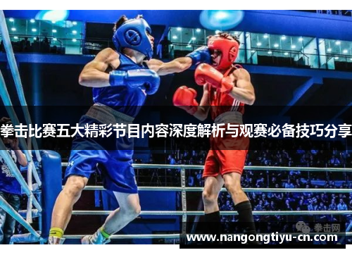拳击比赛五大精彩节目内容深度解析与观赛必备技巧分享