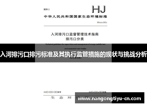 入河排污口排污标准及其执行监管措施的现状与挑战分析