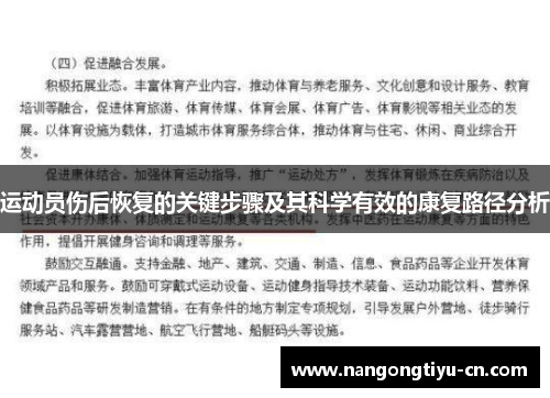 运动员伤后恢复的关键步骤及其科学有效的康复路径分析